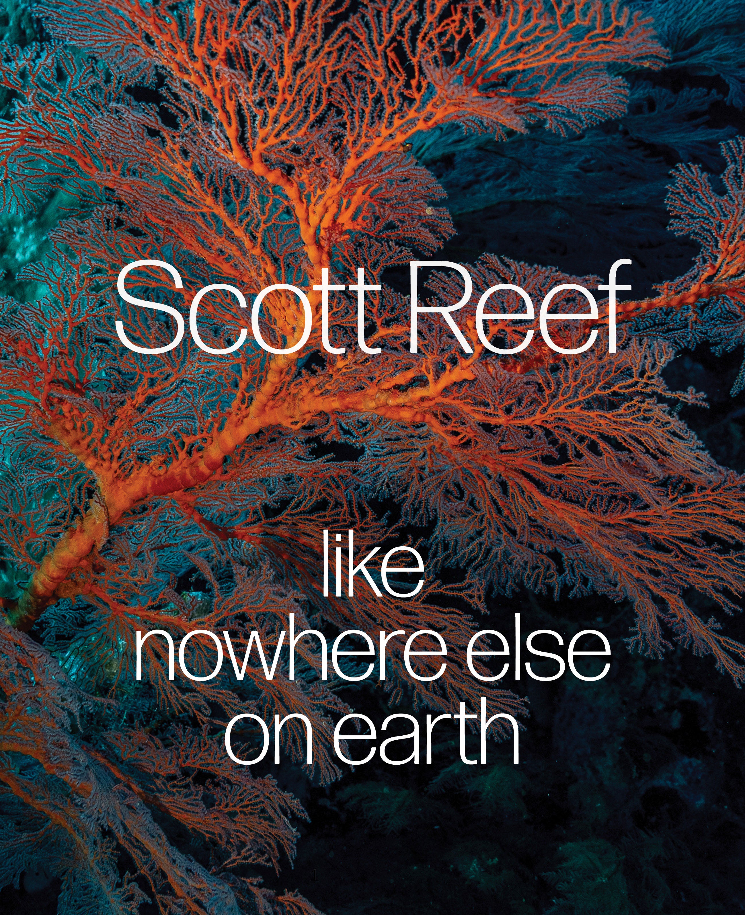Scott Reef: Like Nowhere Else on Earth