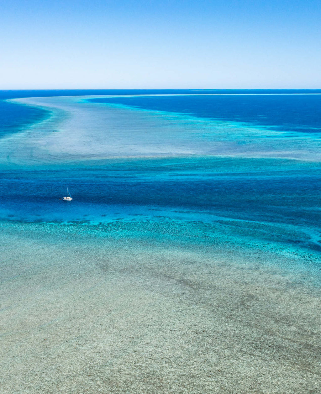 Scott Reef: Like Nowhere Else on Earth