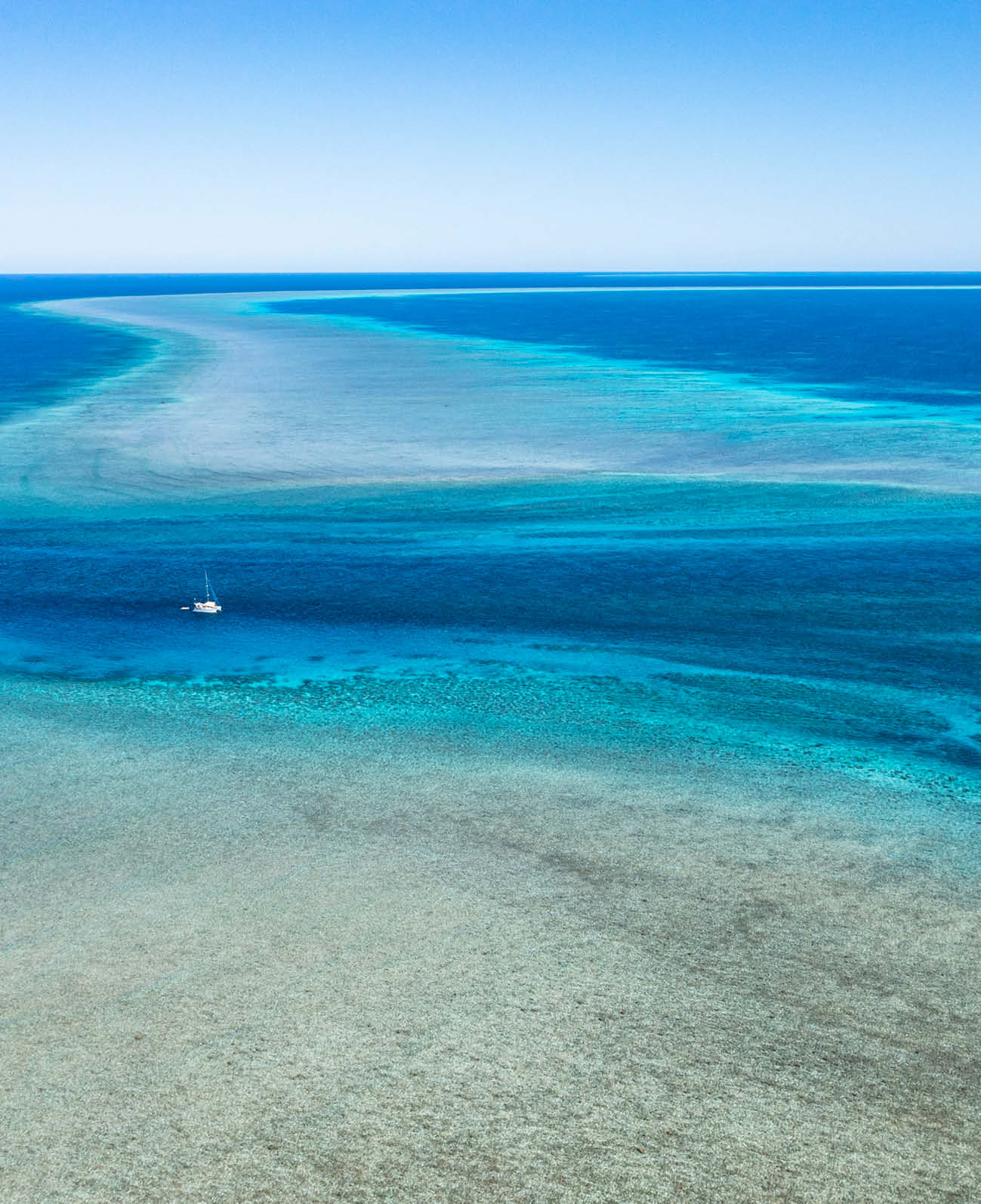 Scott Reef: Like Nowhere Else on Earth