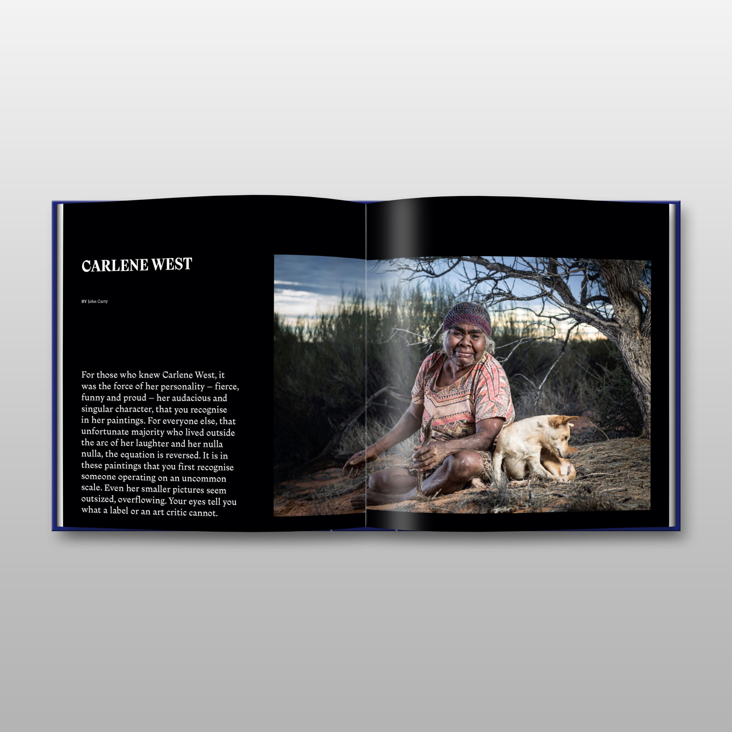 Sun & Shadow: Art of the Spinifex People