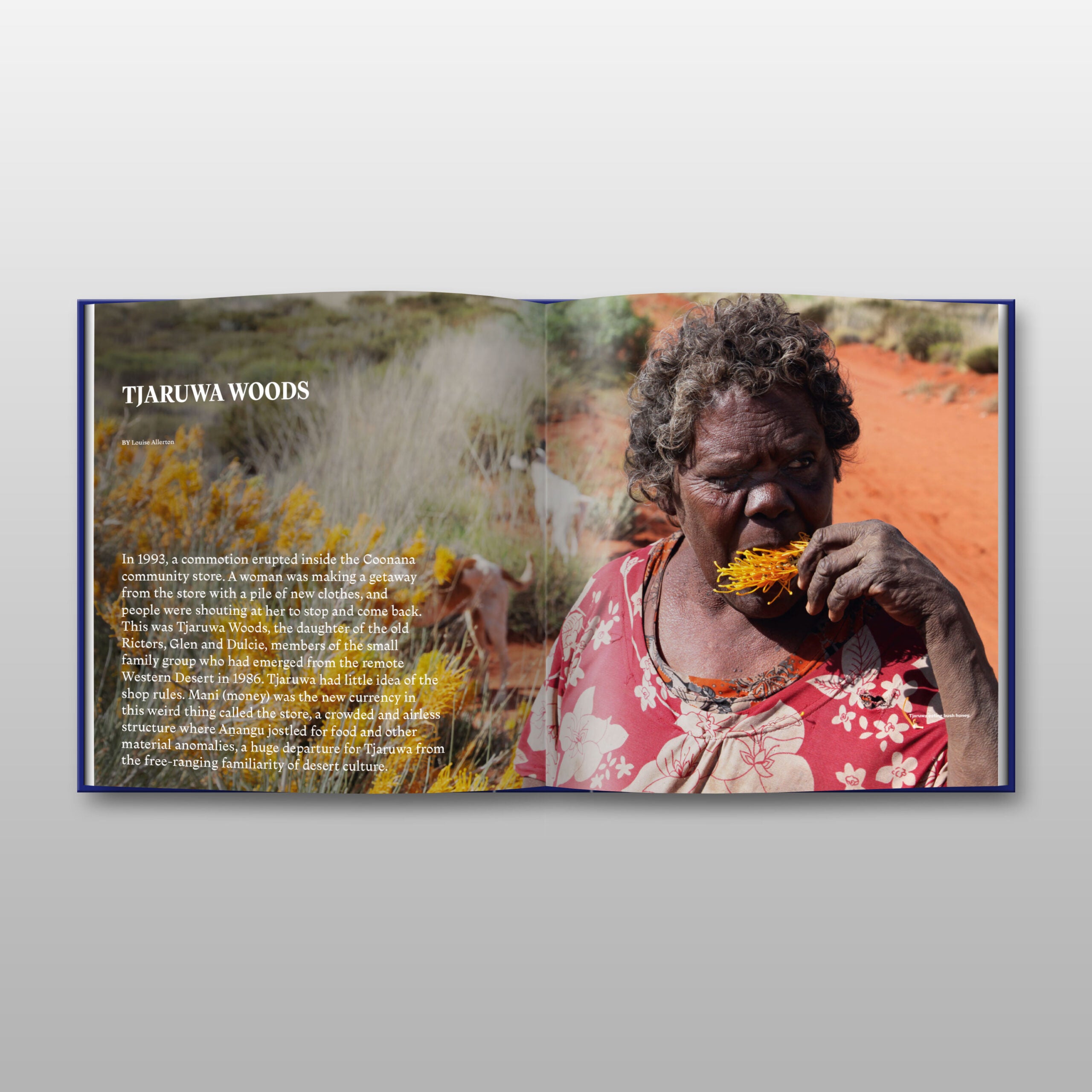 Sun & Shadow: Art of the Spinifex People