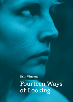Book cover for Fourteen Ways of Looking by Erin Vincent