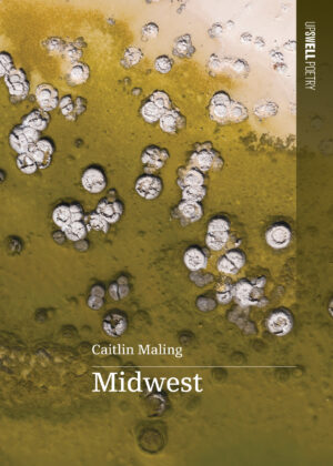 Book Cover forMidwest